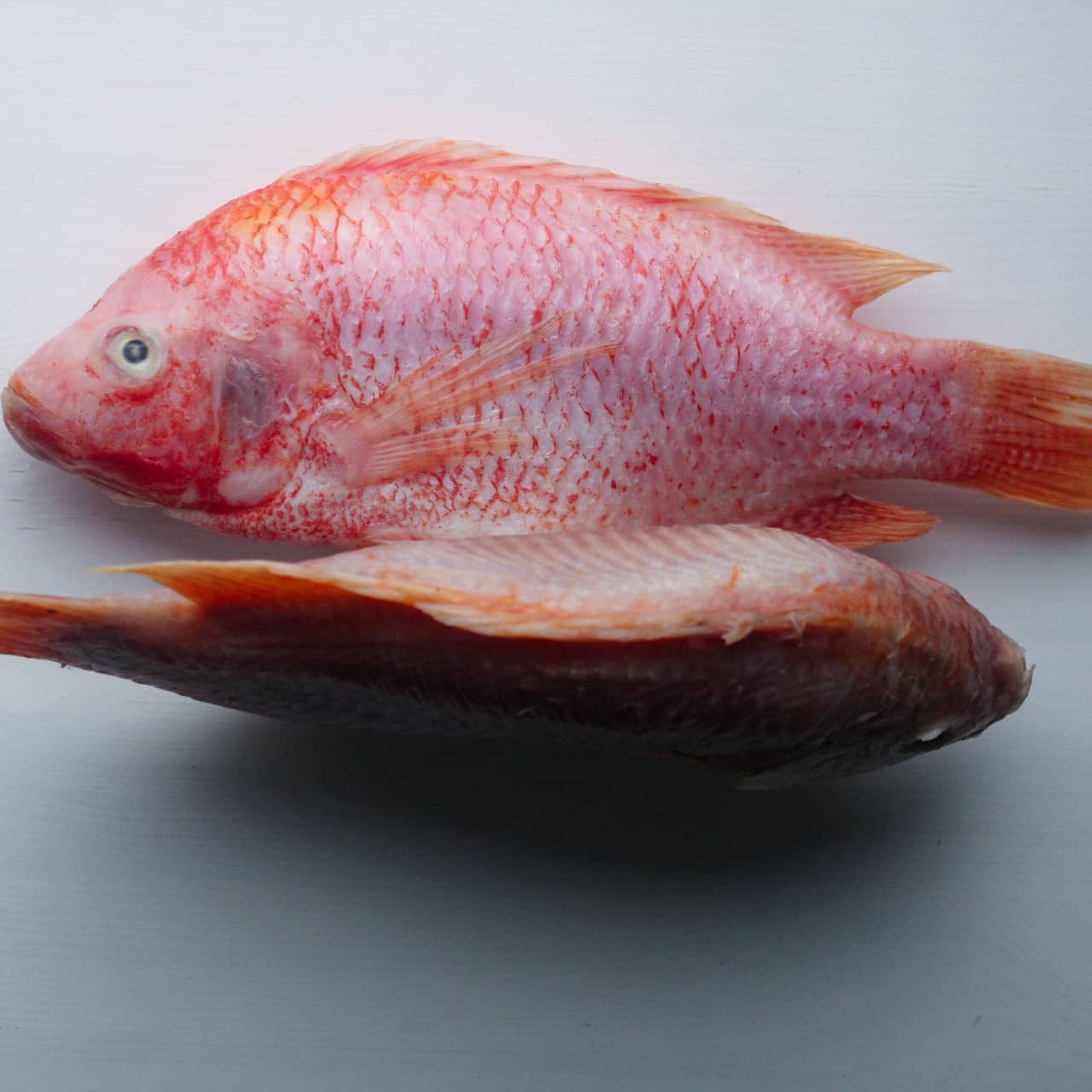 Tilapia Noir & Soso Kochkurs