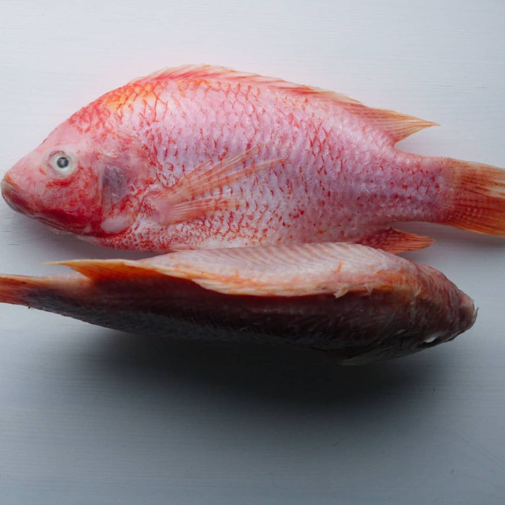 Tilapia Noir & Soso Kochkurs