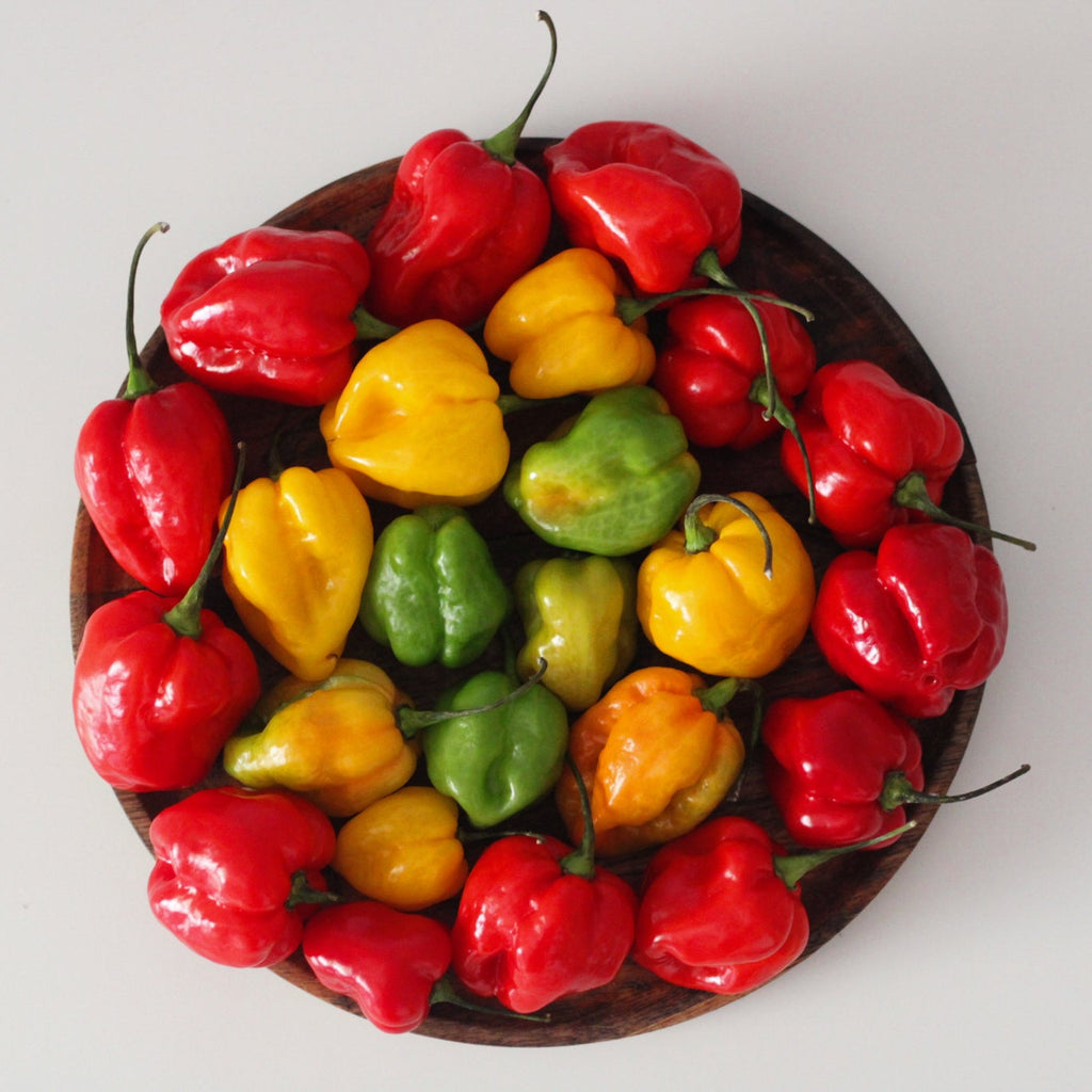 MaBijoux - Congolese Cuisine Überraschungsbox: Standard