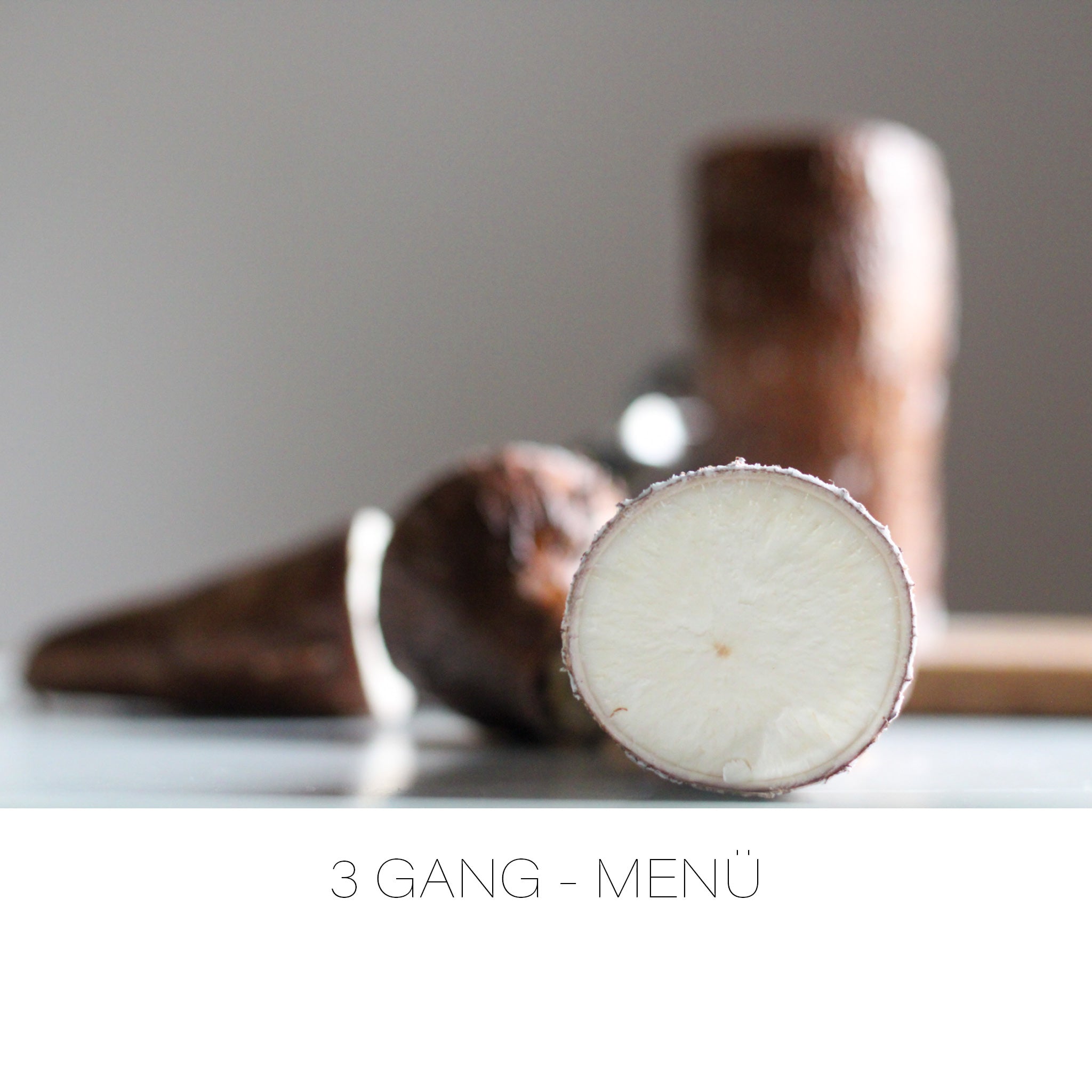 Saka Saka Vegan Kochkurs