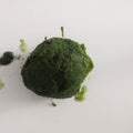 Private Dining Vegetarisch/Vegan
